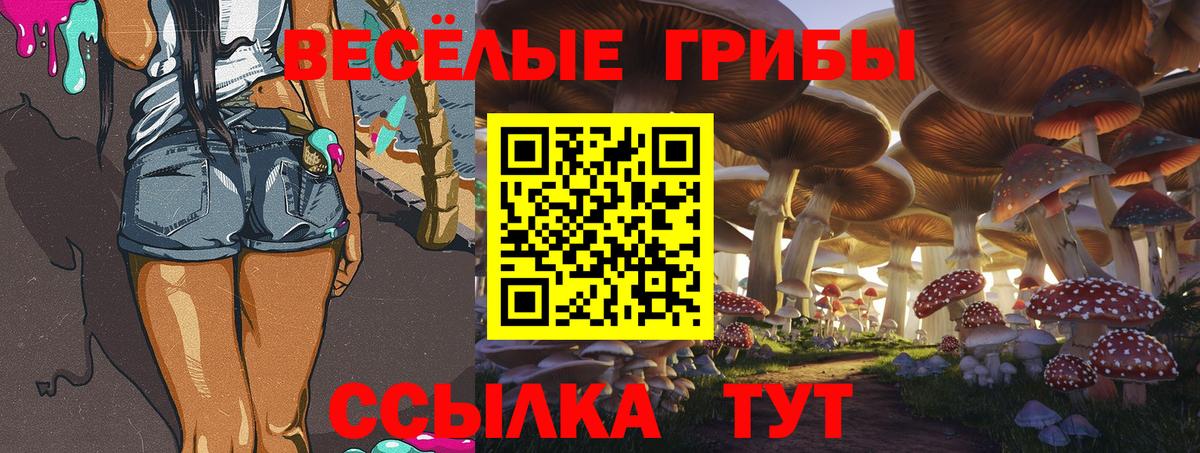 Галлюциногенные грибы мицелий  Вход с VPN  Дмитров 